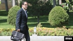 Former Health Minister Hassan Ghazizadeh Hashemi