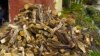 Бурятия: семьям мобилизованных раздают дрова