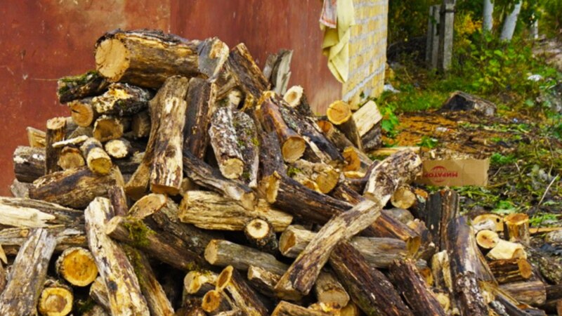 В Новгородской области среди привившихся от COVID разыгрывают четыре машины дров 