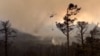 Wildfires Increasingly Consuming Siberian Forests, Scientists Warn