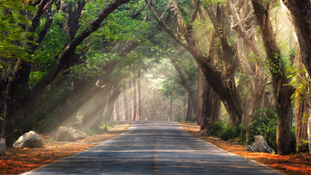 Жас қыздармен таңертеңгі секс (HD)