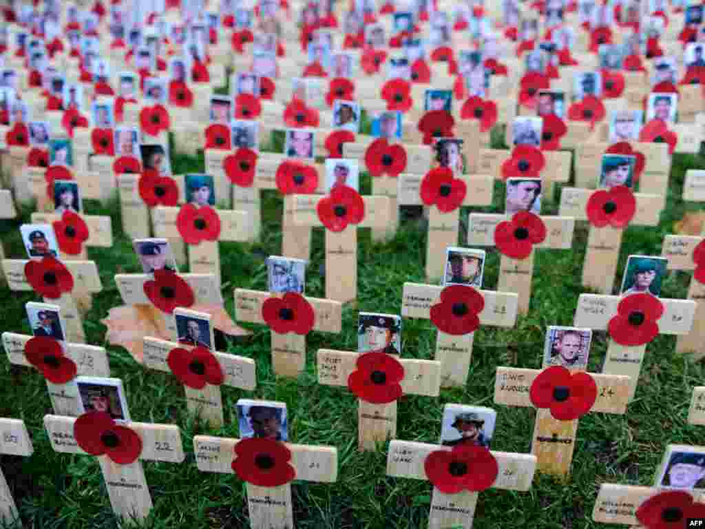 Fusha e Kujtimit në kishën e Westminister Abbey në Londër - kryqet me emrat dhe fotot e ushtarëve të vrarë në luftëra...