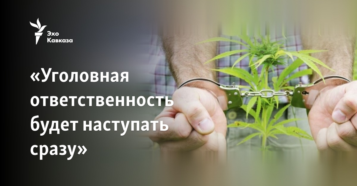 «Уголовная ответственность будет наступать сразу»
