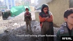 بیځایه شوي افغانان-ارشیف