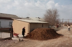 Жители Сарыагашского района перевозят удобрения в теплицу.