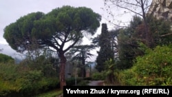 Парк Мордвінова в Ялті