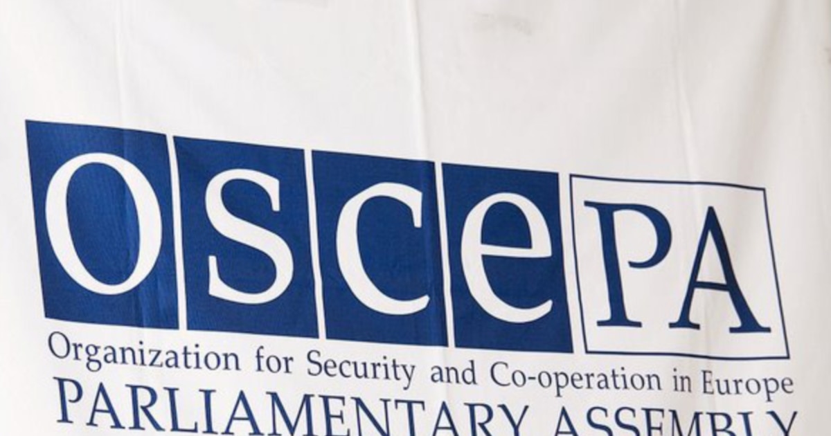 "სამოქალაქო საზოგადოებამ თავისუფლად და შიშის გარეშე უნდა იმოქმედოს" - ეუთოს საპარლამენტო ასამბლეის წარმომადგენელი საქართველოზე