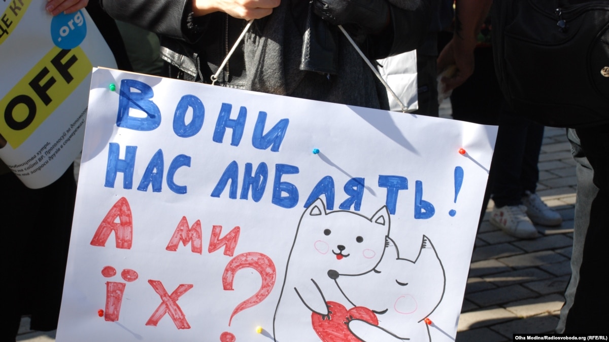 oi5.ru: На стадии подготовки находится законопроект о запрете животных в цирках Украины с 2021 года– Подоляк На стадии подготовки находится законопроект о запрете животных в цирках Украины с 2021 года– Подоляк