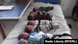 تعدادی از اطفال نوزاد