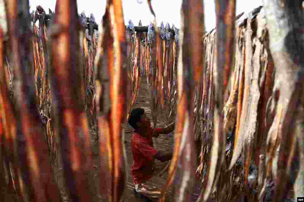Cut and cleaned fish is hung up to dry on a beach near Karachi, Pakistan. The fish, mostly dried on beaches and sent directly to the market, is a highly sought-after item in Pakistan and is also exported. (epa/Rehan Khan)