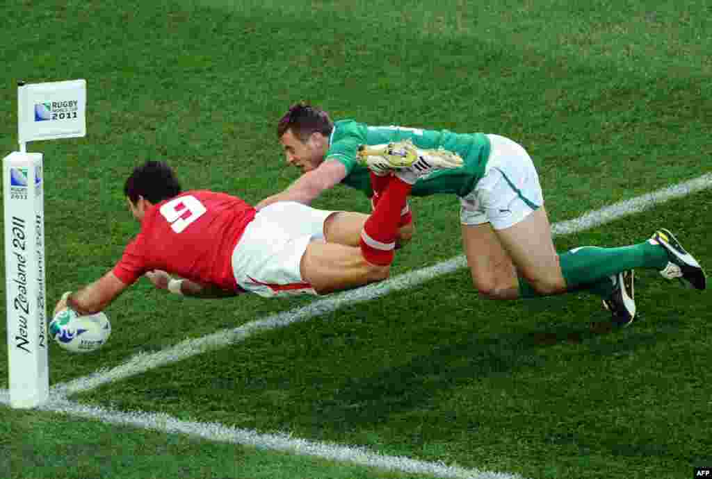 Wales scrum-half Mike Phillips (left) scores a try in front of Ireland&#39;s right wing Tommy Bowe during a quarter-final match on October 8 at the Rugby World Cup in New Zealand. (Photo by Phillipe Lopez for AFP)