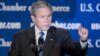 بوش:بحران جاری به معنی شکست بازار آزاد نيست