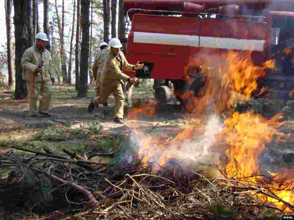 Пожежники в деталях відтворили процес гасіння лісової пожежі