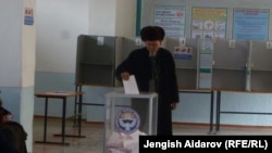 Выборы в местные органы самоуправления. 25 ноября 2012 года.