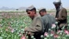 Opium Upsurge On Afghan-Tajik Border
