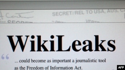 Pentagon Has Team Ready To Respond To Wikileaks Iraq Documents