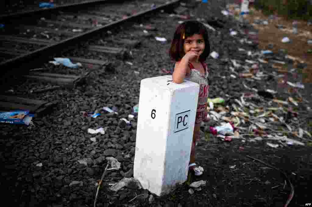 Девочка из семьи мигрантов у пограничного знака на границе Венгрии и Сербии, у города Хоргош. &nbsp;