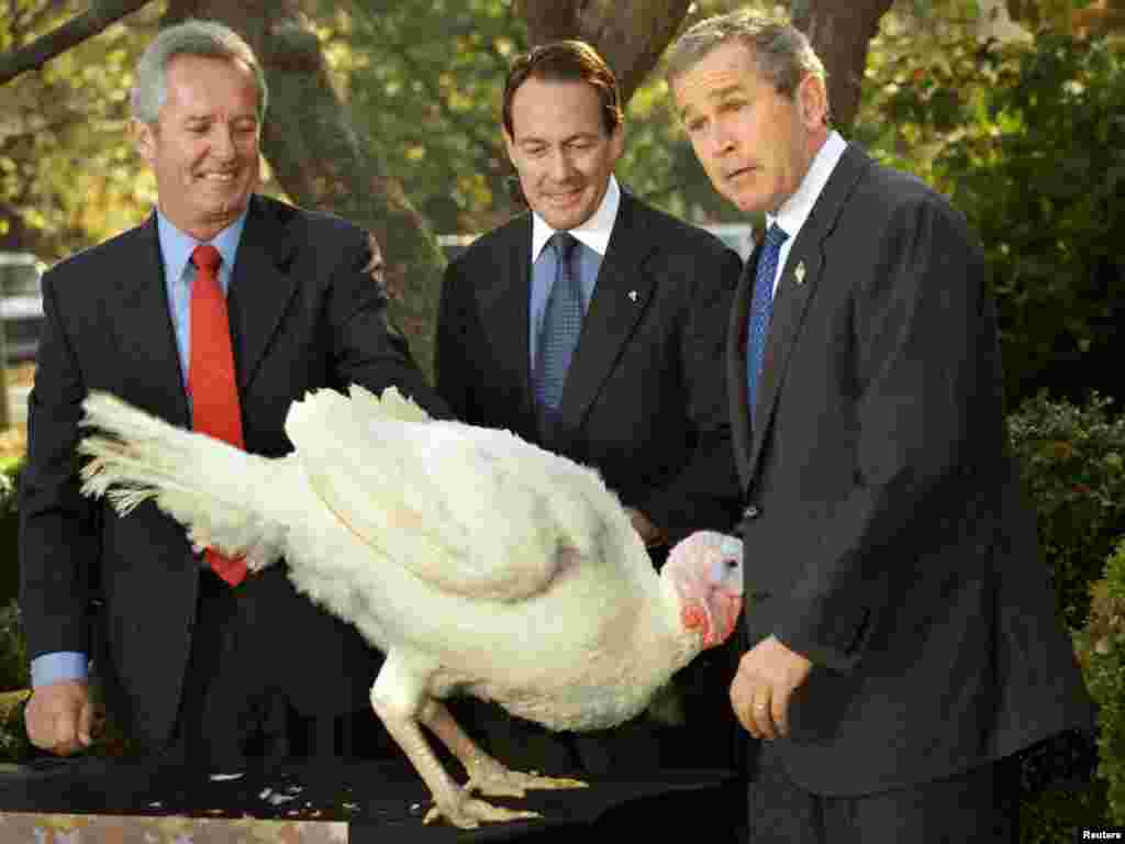Turkey named "Liberty" surprises President George W. Bush at the annual turkey pardoning event at the White House, three days ahead of Thanksgiving, November 19, 2001. The fortunate bird will spend the rest of his days on a farm in Virginia. With the president are turkey industry representatives Jeff Radford (L) and Stuart Proctor. REUTERS/Kevin Lamarque 