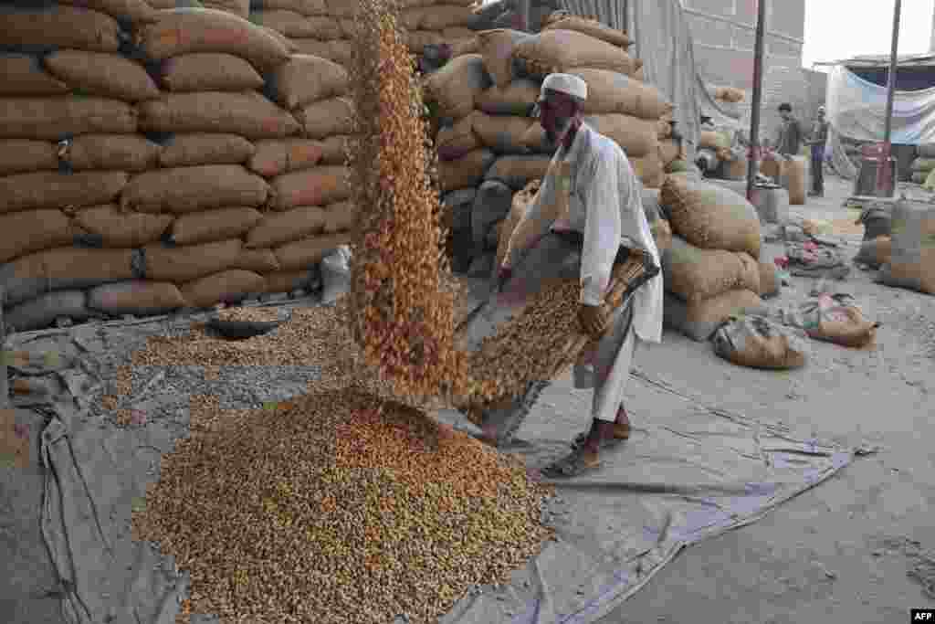 A laborer works at a peanut factory on the outskirts of Jalalabad, Afghanistan. (AFP/Noorullah Shirzada)