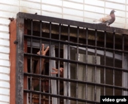 Задержанные за участие в протестах в Минске машут из окна СИЗО