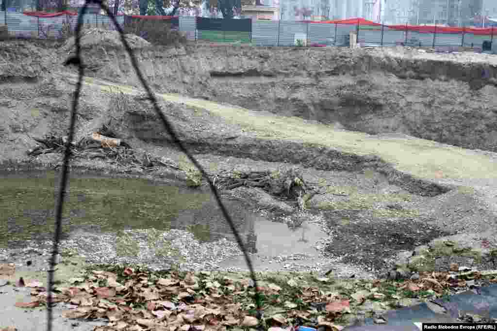 Колку дрва настрадаа за копањето на оваа дупка во строгиот центар на градот?