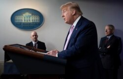 Presidenti amerikan, Donald Trump.