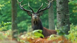 Иллюстративное фото