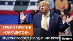 دونالد ترمپ رئیس جمهوری امریکا