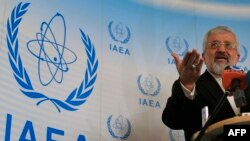 علی اصغر سلطانیه، نماینده ایران در آژانس بین‌المللی انرژی اتمی.