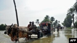 Some 20 million Pakistanis have been affected by the flooding.
