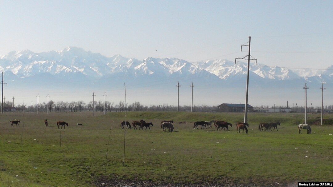 Моншадағы жалаңаш ауыл тұрғындары