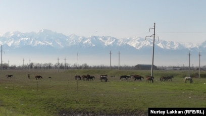 Флэш ойыны минет Блэк Кітапханашы сорып жатыр