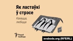 Выраз на штодзень: Як ластаўкі ў стрэсе