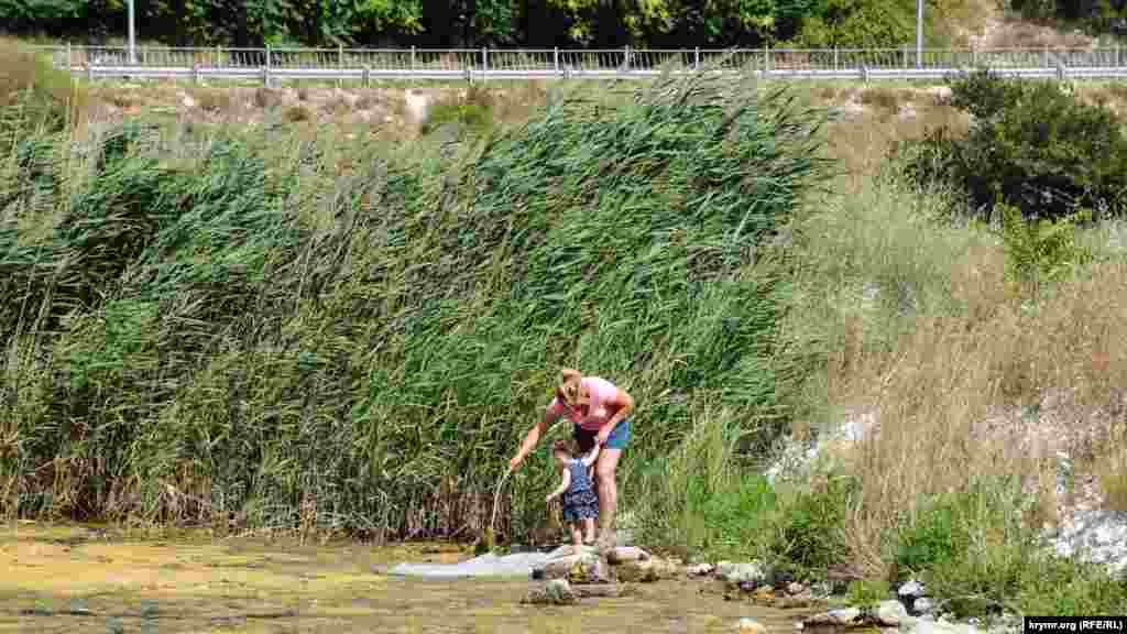 Женщина с маленьким ребенком изучают водоросли, рядом в воде &ndash; большой кусок полиэтиленовой пленки