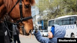 Иллюстратив сурат.