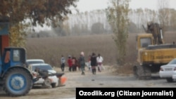 Взрослые и подростки, прибывшие на уборку хлопка в регионе Узбекистана. 2017 год.