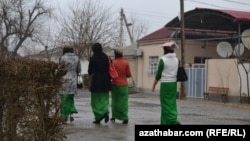 Okuwçy gyzlar (Illýustrasiýa suraty)