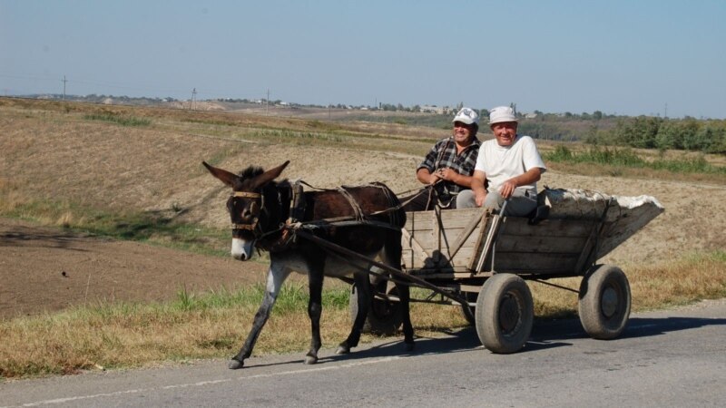 Suša dodatno spržila crnogorsku poljoprivredu