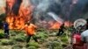 Тушение лесных пожаров в Греции
