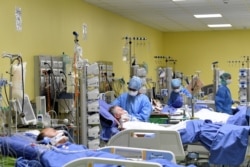 Инфицированные Covid-19 в госпитале Милана, март 2020 года