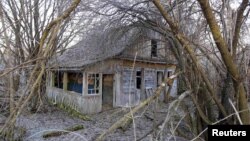 Иллюстратив фото
