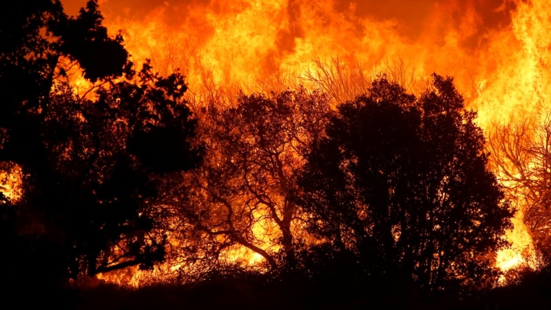 Kalifornia përballet me zjarret më të mëdha në histori