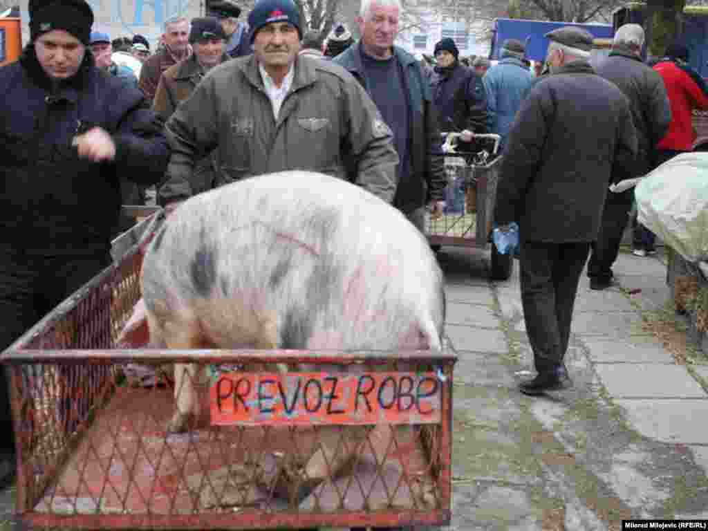 Banjaluka, 18.02.2011. Foto: Milorad Milojević