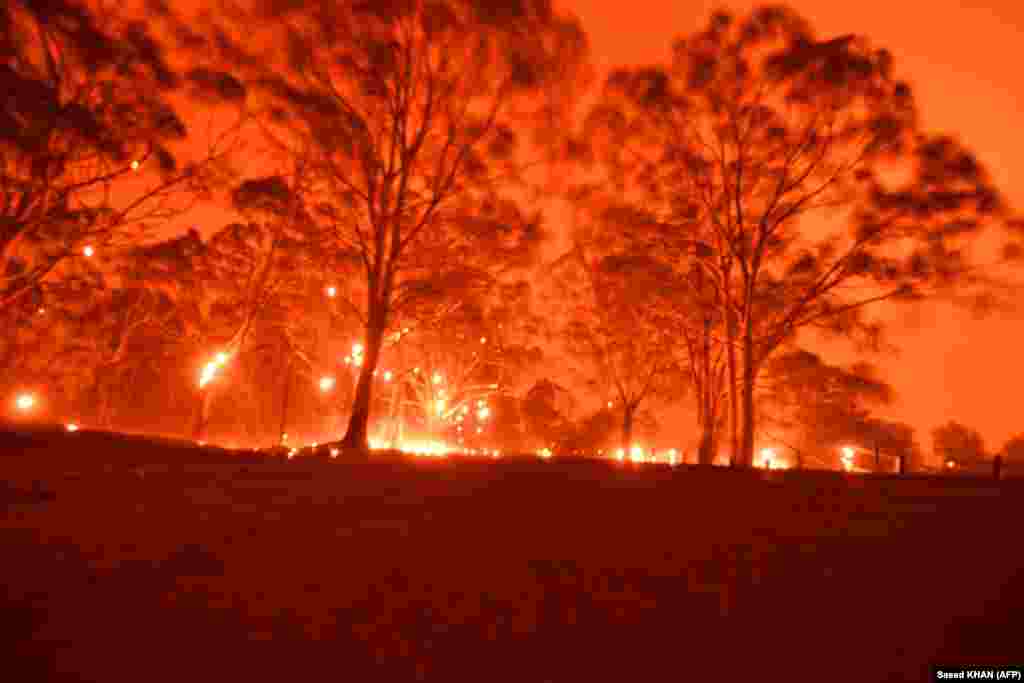АВСТРАЛИЈА - Владата на австралискиот Нов Јужен Велс прогласи седумдневна вонредна состојба како одговор на ескалацијата од пожари.
