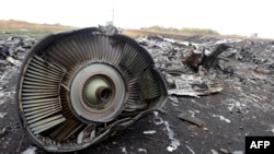 На місці катастрофи рейсу MH17 в с. Гравір, 9 вересня 2014 року