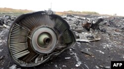 Ukraine -- A part of the Malaysia Airlines Flight MH17 is seen at the crash site in the village of Hrabove, some 80km east of Donetsk, September 9, 2014