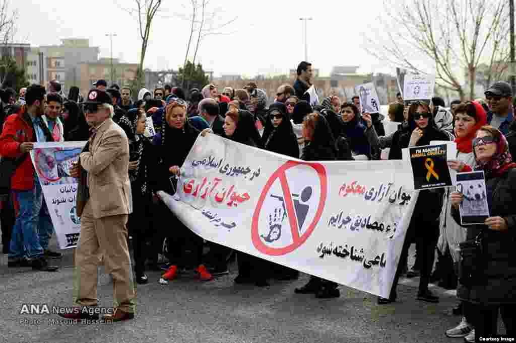 تجمع در تهران رد اعتراض به حیوان آزاری.