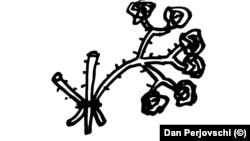 Desen de Dan Perjovschi