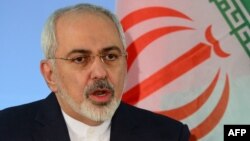 Iranian Foreign Minister Mohammad Javad Zarif speaks during a press conference with his German counterpart in Berlin on January 15.