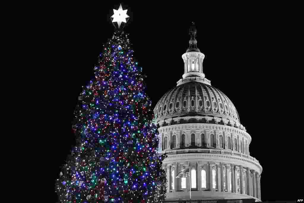 Pomul de Crăciun de la Capitoliul Statelor Unite, Washington D.C.